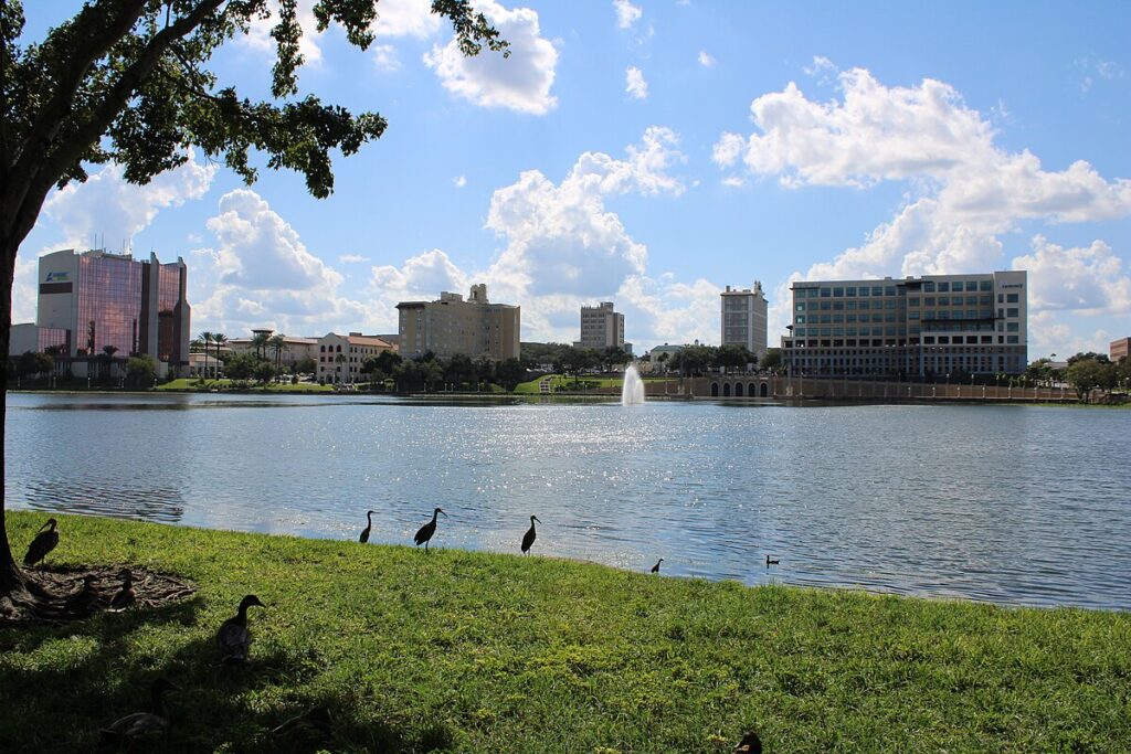 a group of birds on grass by a lake in Lake Mirror